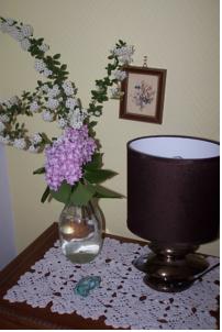 Chambres d'hotes/B&B Le Moulin du Bignon : photos des chambres