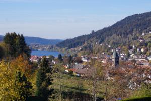 Hebergement Chalet des Musiciens : photos des chambres