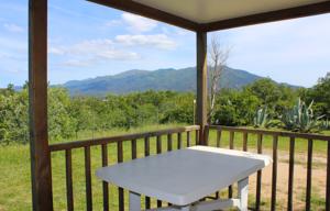 Hebergement Team Holiday - Camping Mas Llinas : Mobile Home Standard 