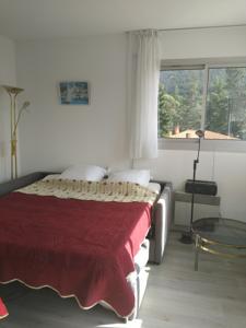 Appartement la catalane : photos des chambres