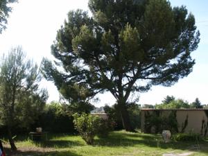 Hebergement La Maison d'Augusta : photos des chambres