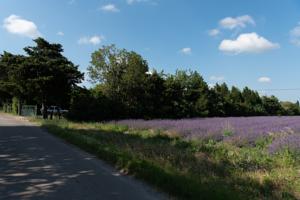 Hebergement Le clos Gernick : photos des chambres