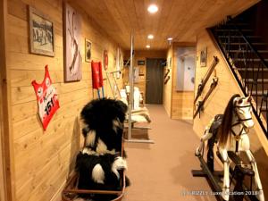 Appartement Le Grizzly Luxe Location : photos des chambres