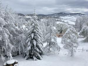 Hebergement Chalet eaux vives : photos des chambres