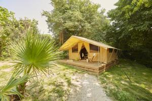 Hebergement Camping des Alberes : photos des chambres