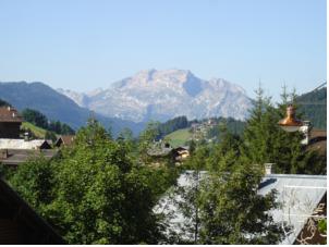 Hotel L'Alpage : photos des chambres