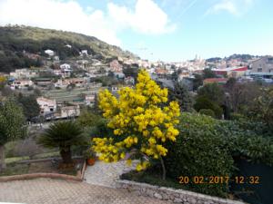 Appartement LA ROXYCELYNOUS : photos des chambres