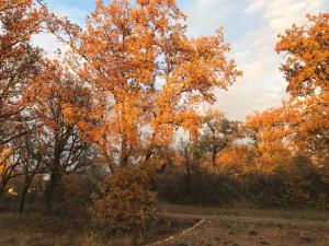 Hebergement Les Plantades : photos des chambres