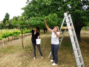 Hebergement Gites Lezan Gard : photos des chambres