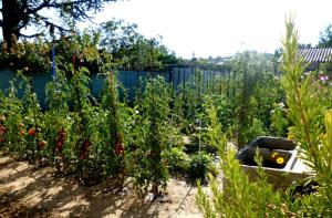 Hebergement Gites Lezan Gard : photos des chambres