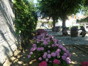 Hebergement Gites Lezan Gard : photos des chambres