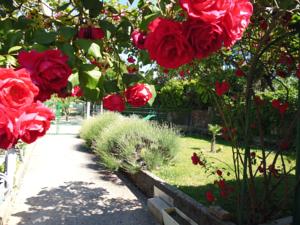 Hebergement Gites Lezan Gard : photos des chambres