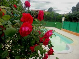 Hebergement Gites Lezan Gard : photos des chambres