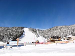 Appartement Chalet 7 pieces 18 pers vue exceptionnelle, classe 5* en meuble de tourisme et espace balneo detente sportif 79104 : photos des chambres