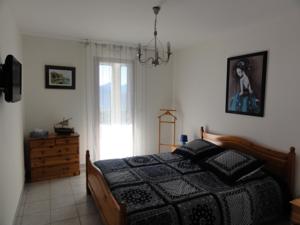 Appartement Chalet 7 pieces 18 pers vue exceptionnelle, classe 5* en meuble de tourisme et espace balneo detente sportif 79104 : photos des chambres