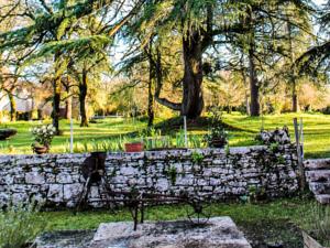 Hebergement Manoir Le Causse : photos des chambres