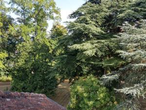 Hebergement Guest Room le Parc : photos des chambres
