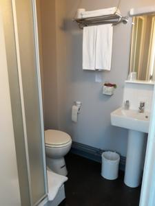 Hotel Hostellerie de la Quenoeuille : Chambre Simple Standard