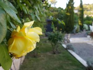 Hebergement L'Atelier : photos des chambres