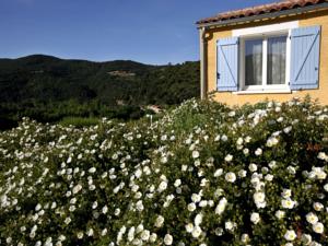 Hebergement Filome : photos des chambres