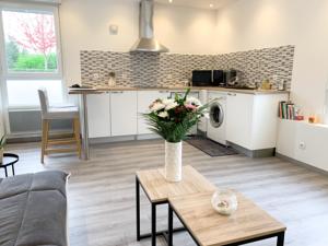 Appartement studio moderne tout equipe : Appartement