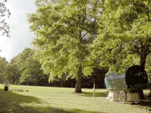 Hebergement Les Tramois : Mobile Home