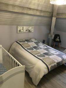 Appartement Le Forfelet proche Gerardmer : photos des chambres