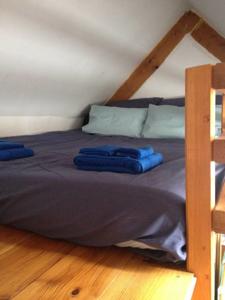 Chambres d'hotes/B&B Gite du Chateau : photos des chambres