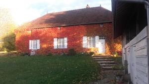 Hebergement Gite bois Martin : photos des chambres