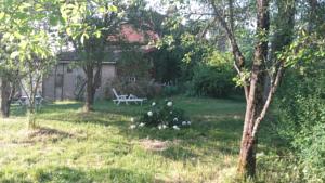 Hebergement Gite bois Martin : photos des chambres