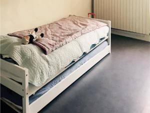 Hebergement Five-Bedroom Holiday Home in La Roche St Secret : photos des chambres