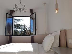 Le Chat Vert - Appartements : photos des chambres