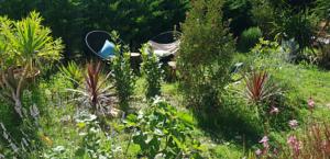 Le Chat Vert - Appartements : photos des chambres