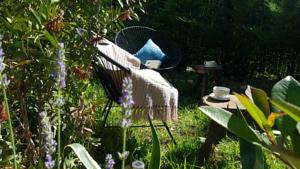Le Chat Vert - Appartements : photos des chambres