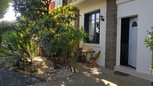 Le Chat Vert - Appartements : photos des chambres