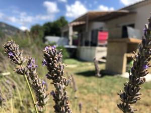 Hebergement Fleur de Lez : photos des chambres