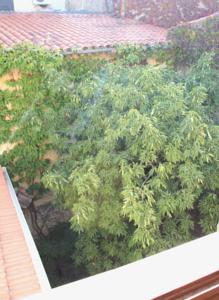 Appartement Charming flat in la Turbie village : photos des chambres