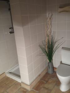 Chambres d'hotes/B&B Mas Tolosan : photos des chambres