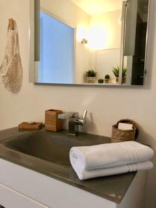 Appartements - Le Logis Versaillais : photos des chambres