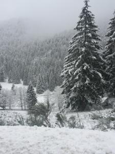 Hebergement Chalet du Feignole : photos des chambres