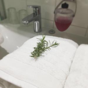 Hebergement Maison Pepouze : photos des chambres