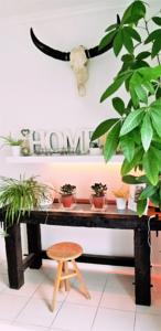 Hebergement villa des delles : photos des chambres
