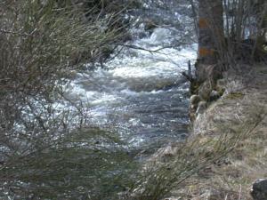Hebergement Gite d'Arzenc de Randon : photos des chambres