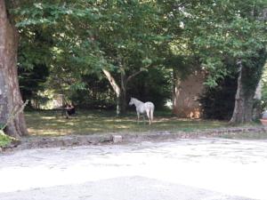 Hebergement Le Castillou : photos des chambres