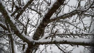 Hebergement Au p'tit bonheur vosgien : photos des chambres