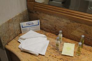Hotel Hilton Paris Charles De Gaulle Airport : photos des chambres