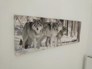 Appartement Glamour : photos des chambres