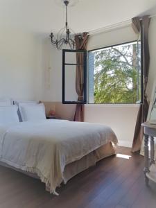Le Chat Vert - Appartements : photos des chambres