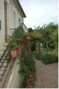 Hotel La Terrasse : Chambre Familiale