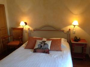 Hotel Hostellerie de la Tour d'Auxois : photos des chambres